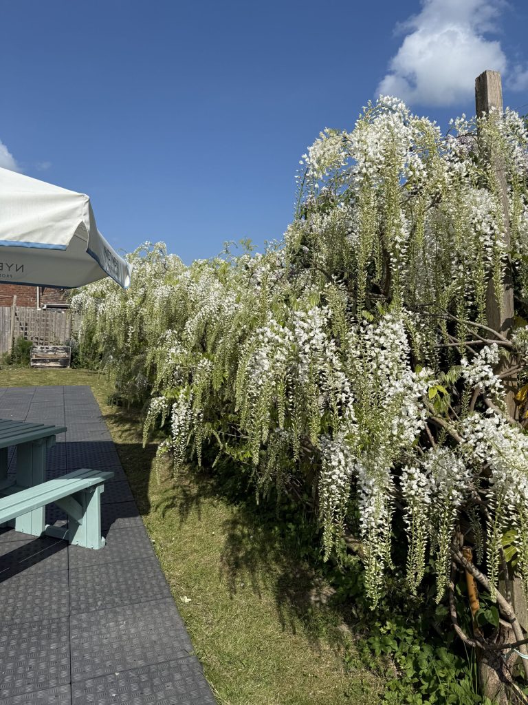 The Poet Garden at Matfield